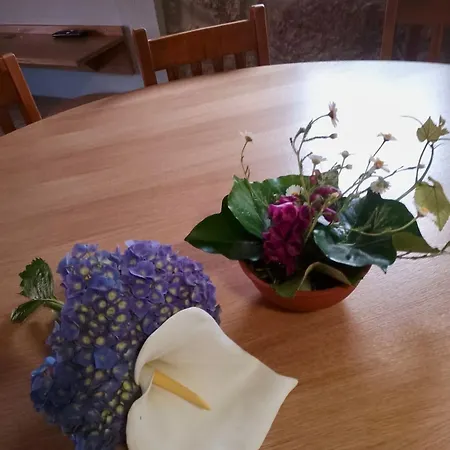 Casa Do Cubais, Serra Da Freita, Arouca, Aveiro, Porto * Vale de Cambra