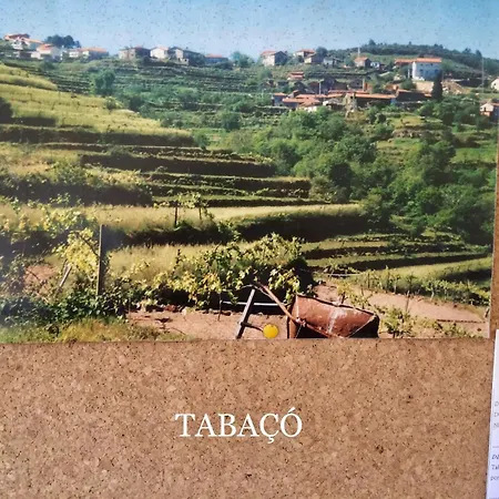 Casa Do Cubais, Serra Da Freita, Arouca, Aveiro, Porto Nyaraló *