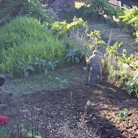 Ferienhaus Casa Do Cubais, Serra Da Freita, Arouca, Aveiro, Porto *