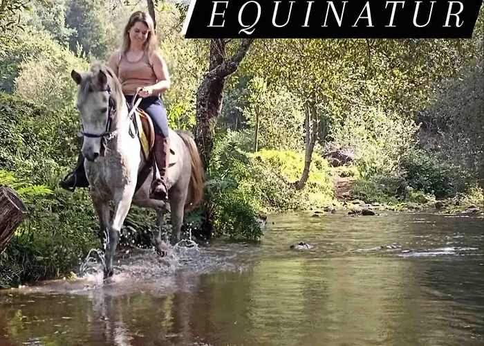 Casa Do Cubais, Serra Da Freita, Arouca, Aveiro, Porto 度假居 *