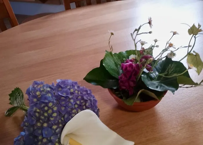 Casa Do Cubais, Serra Da Freita, Arouca, Aveiro, Porto * 瓦莱迪坎布拉