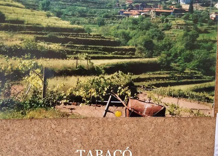 Casa Do Cubais, Serra Da Freita, Arouca, Aveiro, Porto 度假居 *