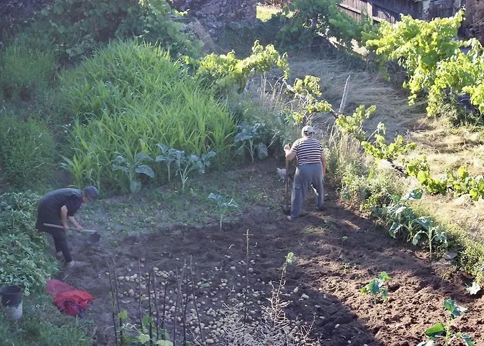 度假居 Casa Do Cubais, Serra Da Freita, Arouca, Aveiro, Porto *